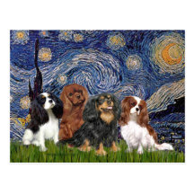 Cavaliers (four) - Starry Night Post Card