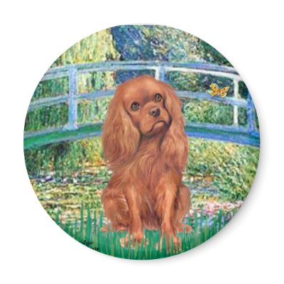 Cavavlier (Ruby7) - Bridge Fridge Magnet by masterpiecedogs