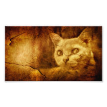 Cave Painting Photo Print