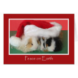 Cavy Christmas Guinea Pig Card