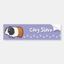 Cavy Slave (smooth hair) Bumper Sticker
