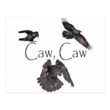 Caw Caw Post Card