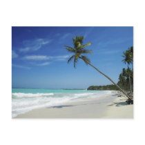 Cayman Island Beach Postcards