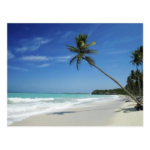 Cayman Island Beach Postcards