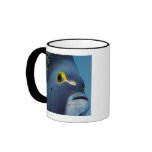 Cayman Islands, French Angelfish Pomacanthus Mug