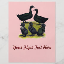 Cayuga Duck Family Flyer Design