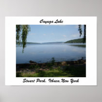 CAYUGA LAKE, FINGER LAKE print