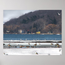 Cayuga Lake in Winter