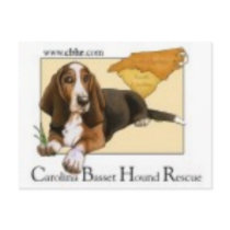 cbhr logo postcard