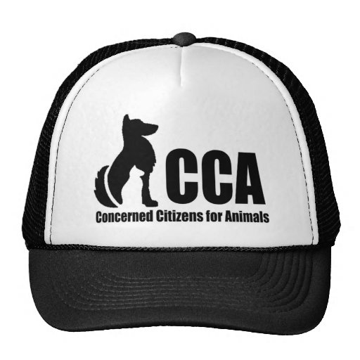 CCA Logo Trucker Hat