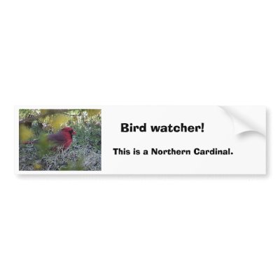 cd2 012, Bird watcher!, This is a Northern Card... Bumper Sticker by Eye4birds