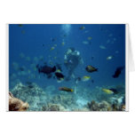 Cebu Diving.jpg Greeting Card