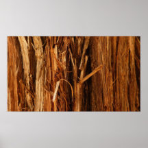 Cedar Bark Abstract Nature Poster Print