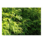 Cedar Hedge Business Cards