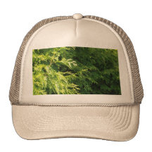 Cedar Hedge Hat