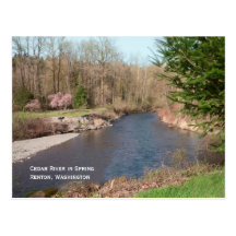 Cedar River Beach Postcard