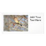 Cedar Waxwing Eating Berries Custom Photo Card
