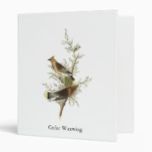 Cedar Waxwing, John Audubon Binders