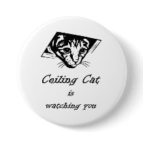 Ceiling Cat is Watching You