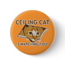 Ceiling Cat is watching you!