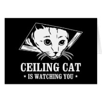 Ceiling Cat is Watching You