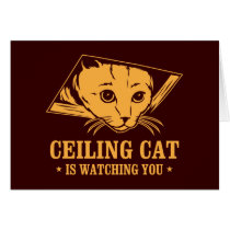 Ceiling Cat is Watching You