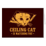 Ceiling Cat is Watching You