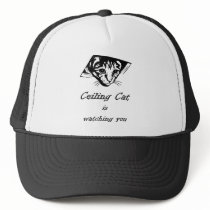 Ceiling Cat is Watching You