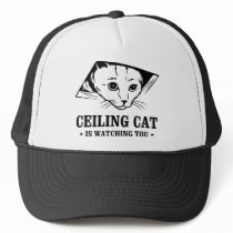 Ceiling Cat is Watching You