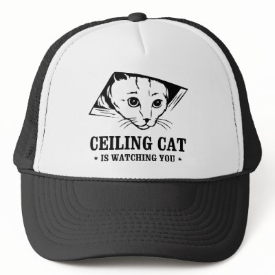 Ceiling Cat is Watching You by strk3