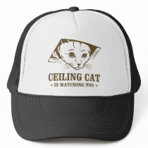 Ceiling Cat is Watching You