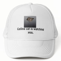Ceiling cat is watching you. hat
