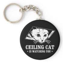 Ceiling Cat is Watching You