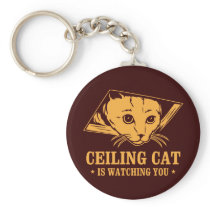Ceiling Cat is Watching You