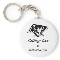 Ceiling Cat is Watching You