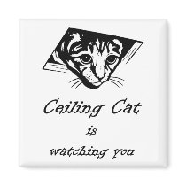 Ceiling Cat is Watching You