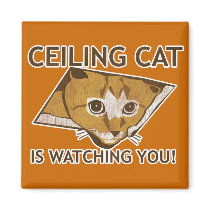 Ceiling Cat is watching you!