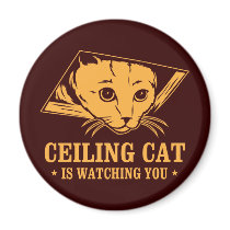 Ceiling Cat is Watching You