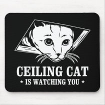 Ceiling Cat is Watching You