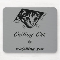 Ceiling Cat is Watching You