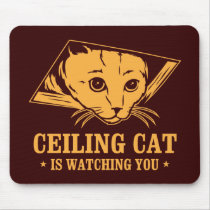Ceiling Cat is Watching You