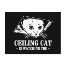 Ceiling Cat is Watching You