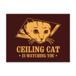 Ceiling Cat is Watching You