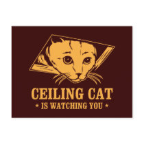 Ceiling Cat is Watching You