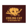 Ceiling Cat is Watching You