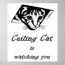 Ceiling Cat is Watching You