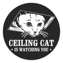 Ceiling Cat is Watching You