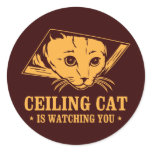 Ceiling Cat is Watching You