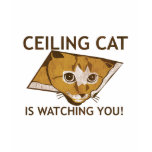 Ceiling Cat is watching you! t-shirts
