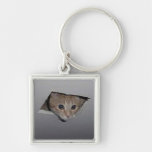 Ceiling Cat Keychain
